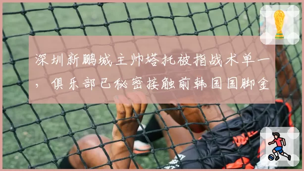深圳新鹏城主帅塔托被指战术单一，俱乐部已秘密接触前韩国国脚金度勋