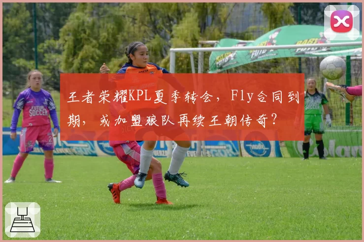 王者荣耀KPL夏季转会,Fly合同到期,或加盟狼队再续王朝传奇?